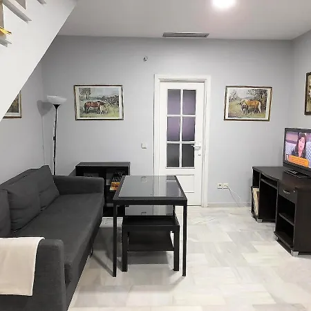 Duplex Calle Larga Apartment Jerez de la Frontera